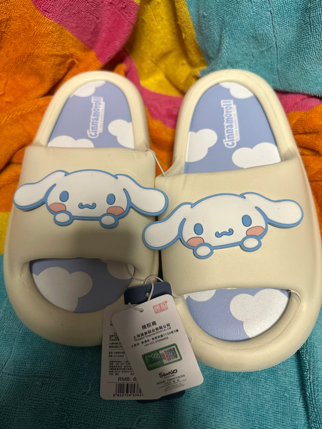 ⚽️ Sanrio Cinnamoroll Slippers