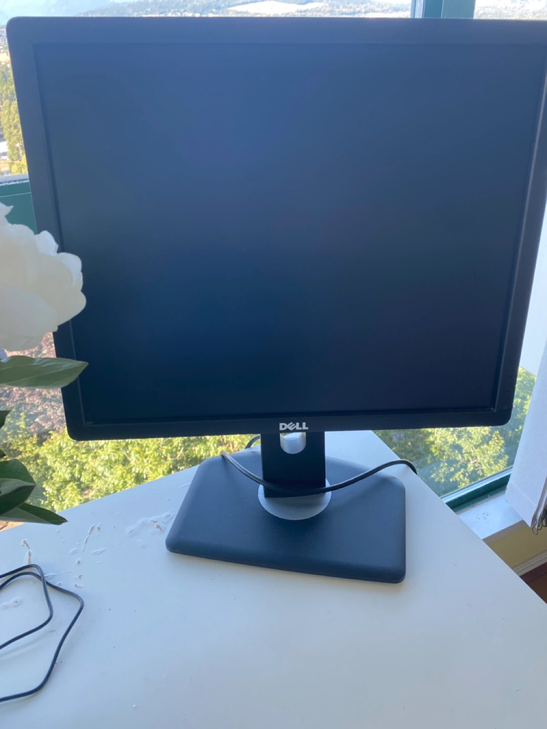 Dell LCD Monitor