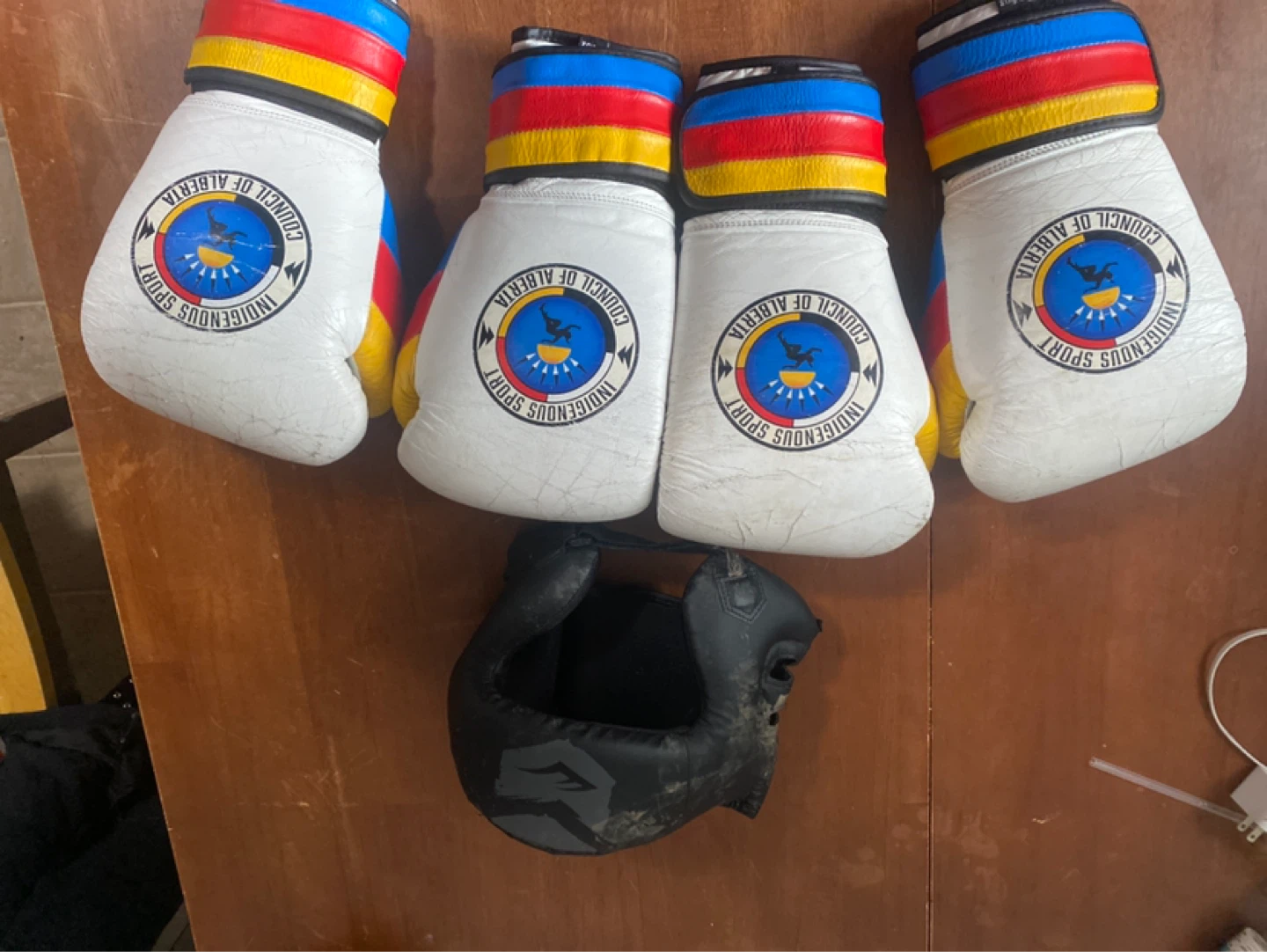 Indigenous Sport Council of Alberta Boxing Gloves - photo 2