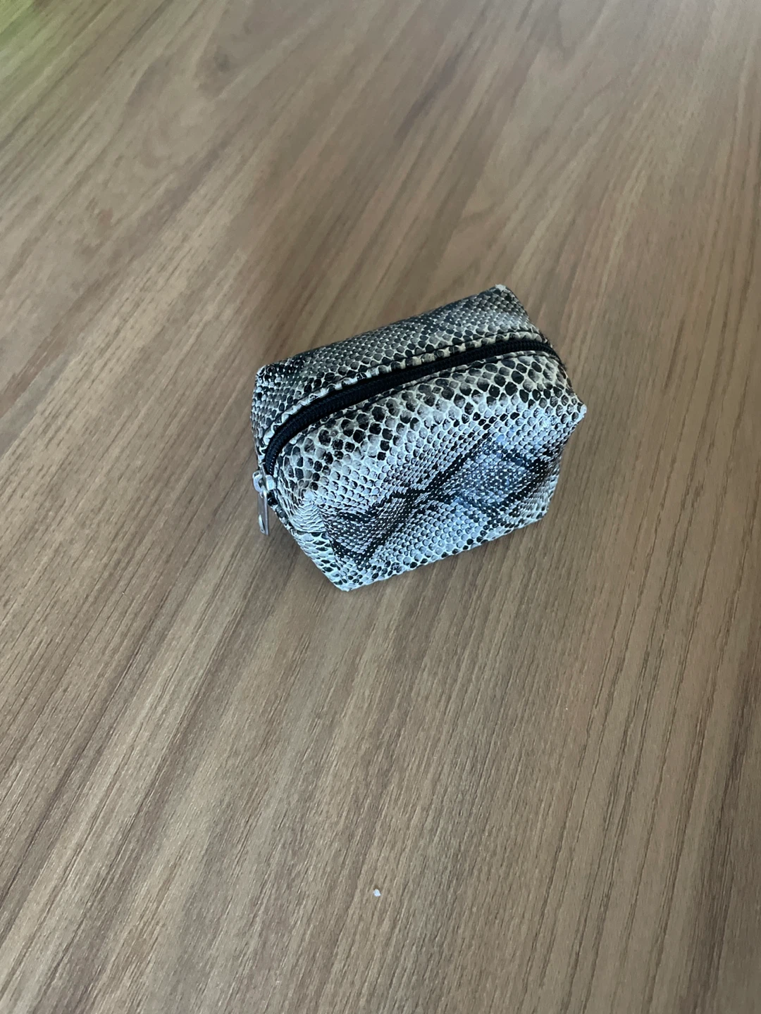 Small Snake Print Coin Pouch