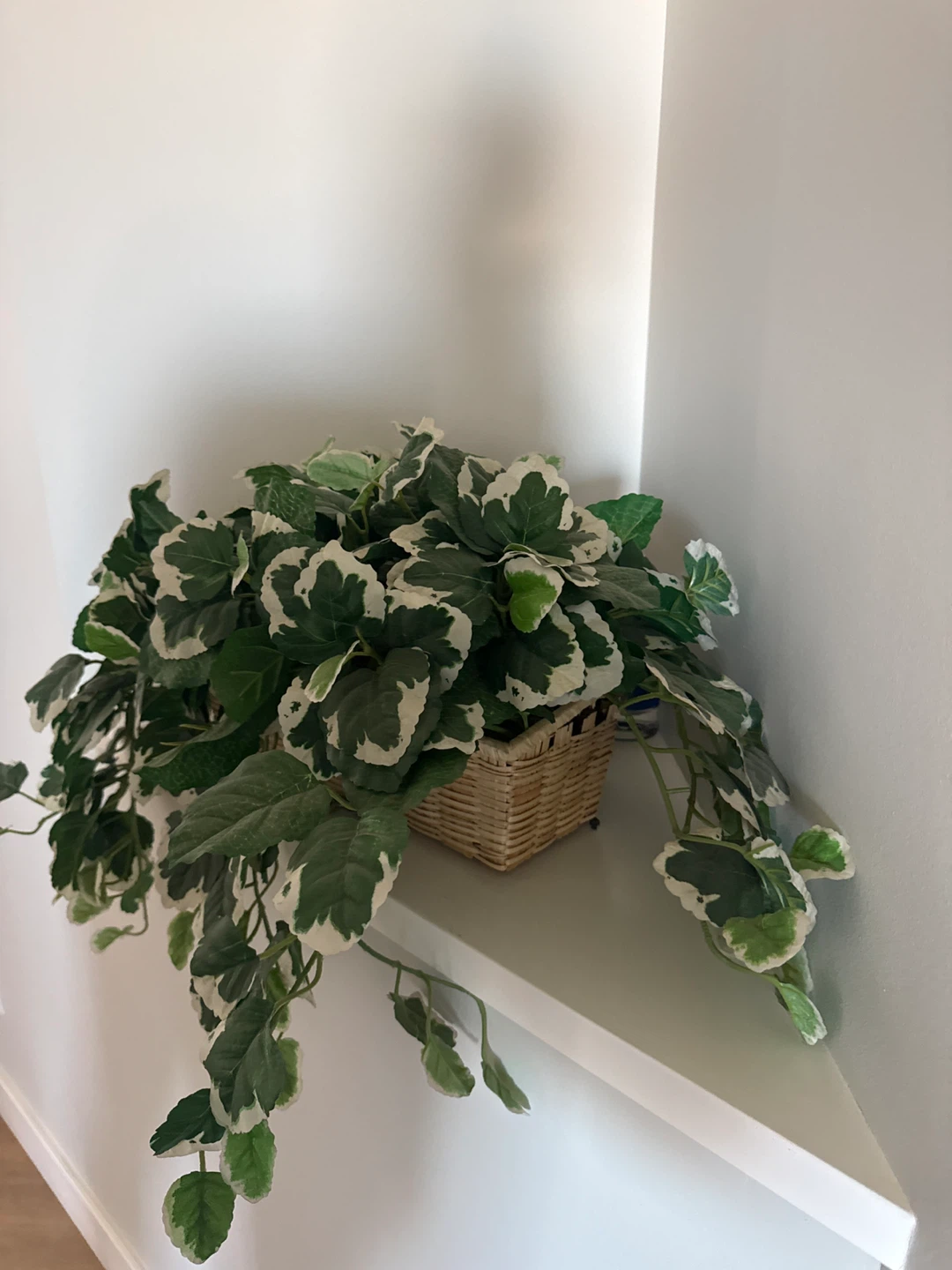 Artificial Pothos Plant in Wicker Basket - photo 2