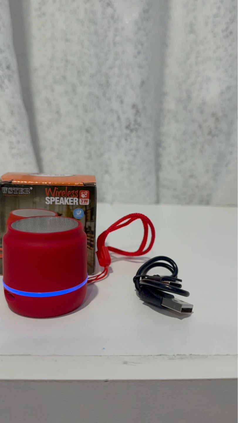 WSTER WS-906 Wireless Mini Speaker