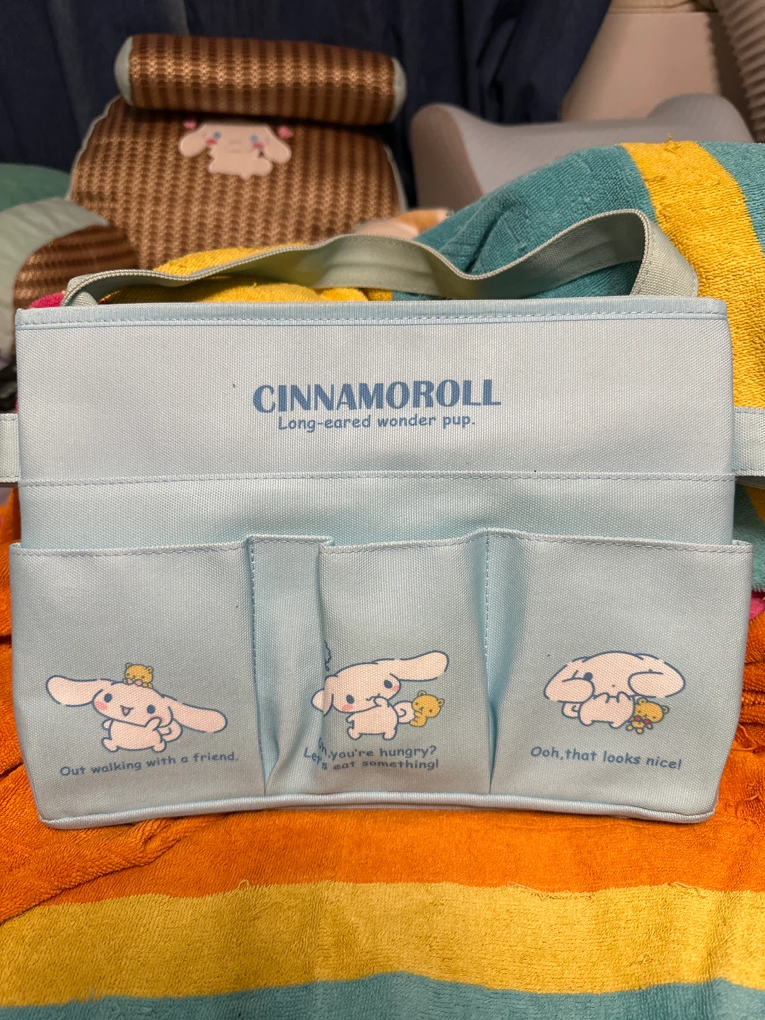 ⚽️ Cinnamoroll Long-Eared Wonder Pup Carry Box Organizer