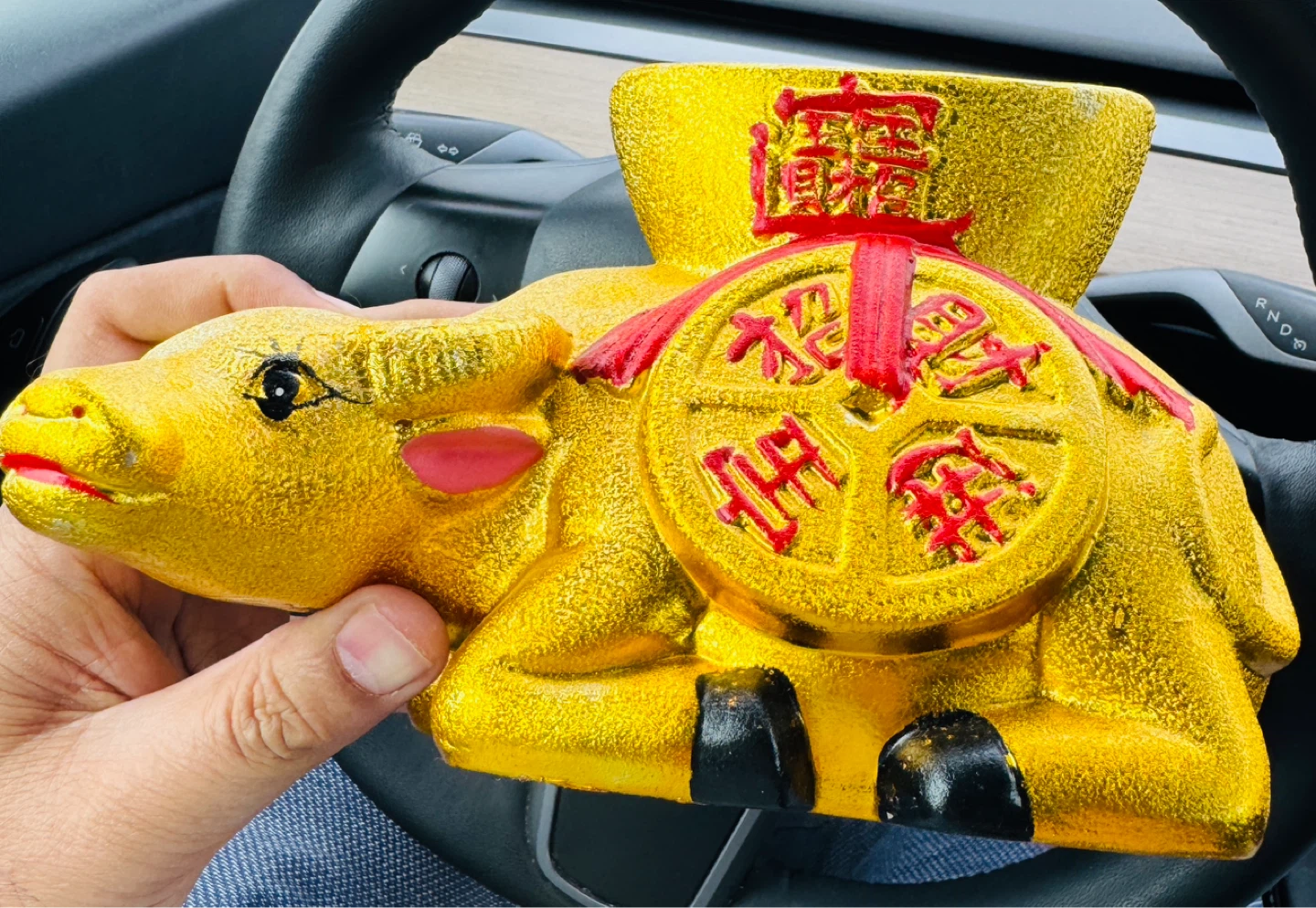 Gold Cow with Coin Decor