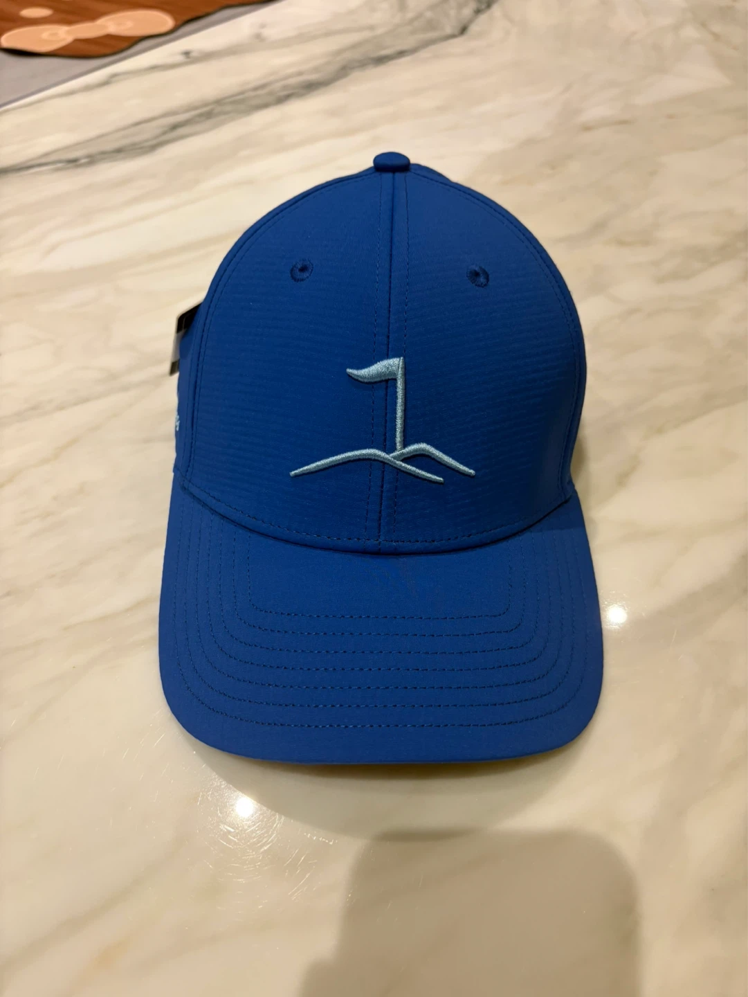 TaylorMade Golf Hat
