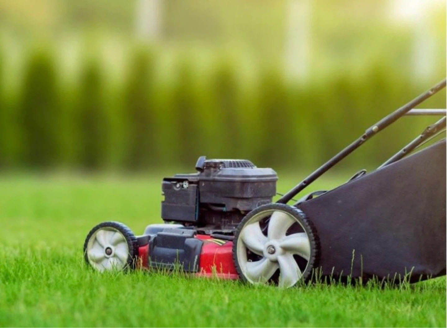 Cutting grass