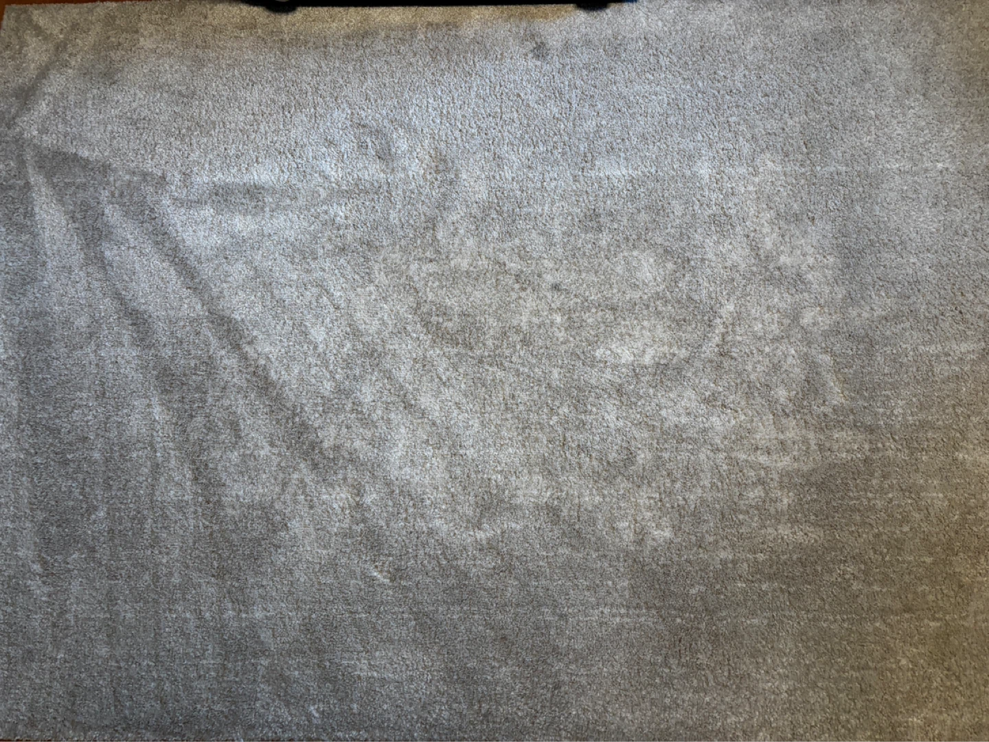 Light Grey Area Rug: Like new - photo 2