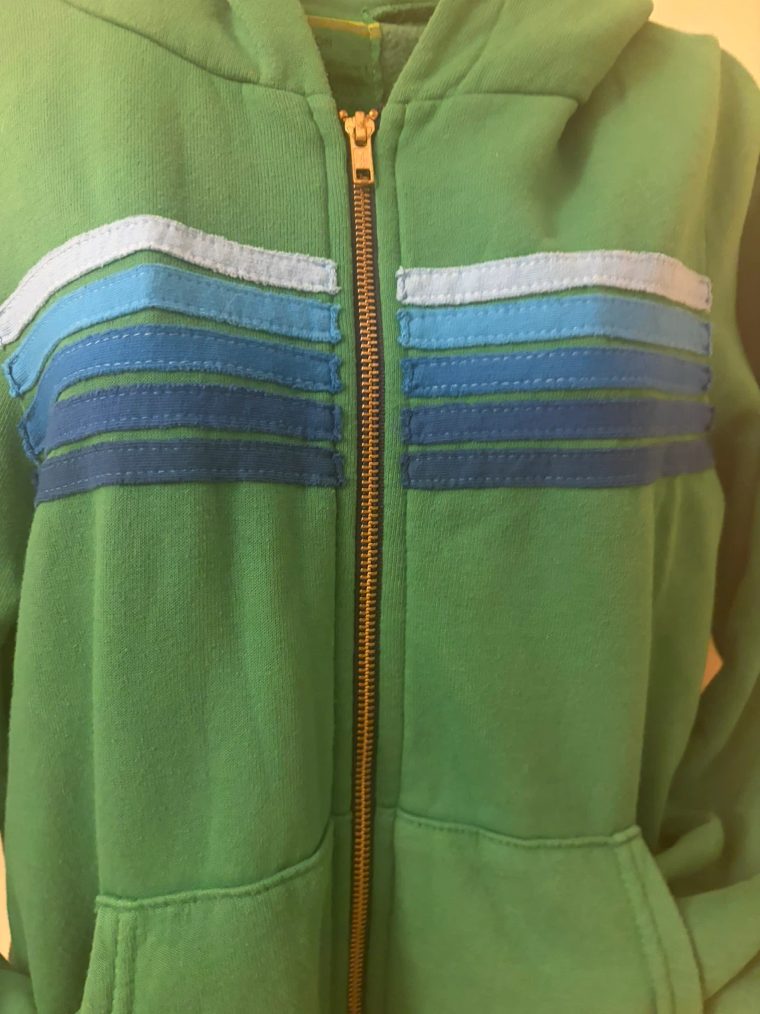 Aviator Nation Zip Up Hoodie - Green - photo 2