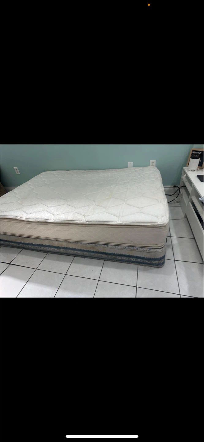 Double Box Spring only