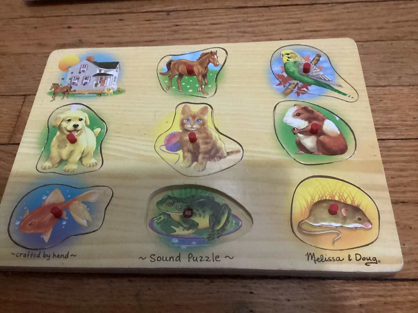 ⚽️Melissa & Doug Sound Puzzle - Pets