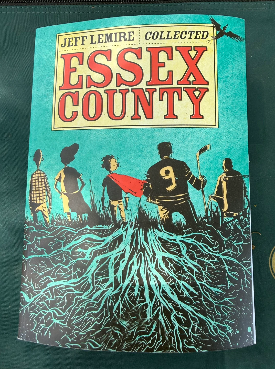Jeff Lemire Collected Essex County Graphic Novel