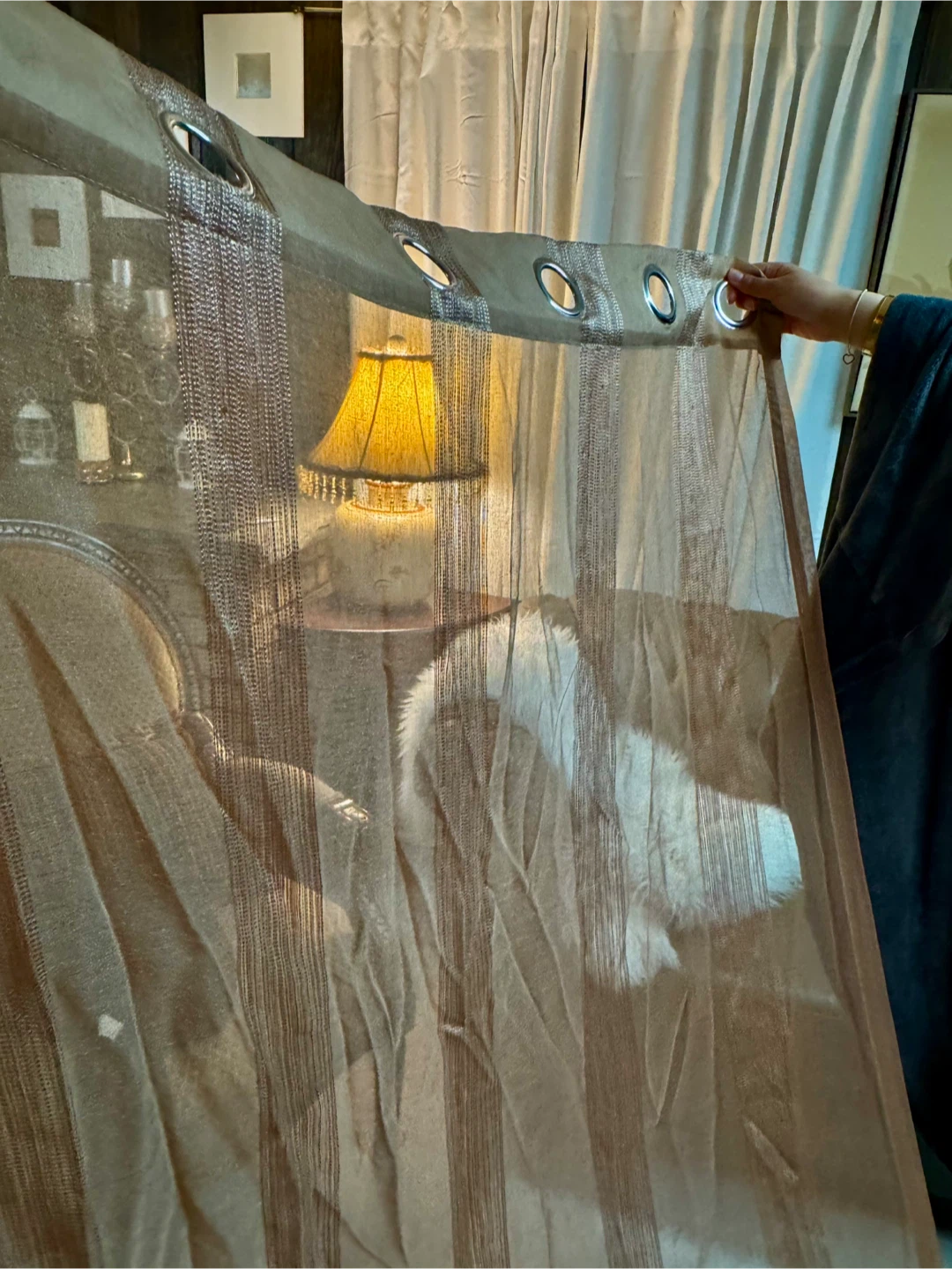 Sheer Striped Curtains