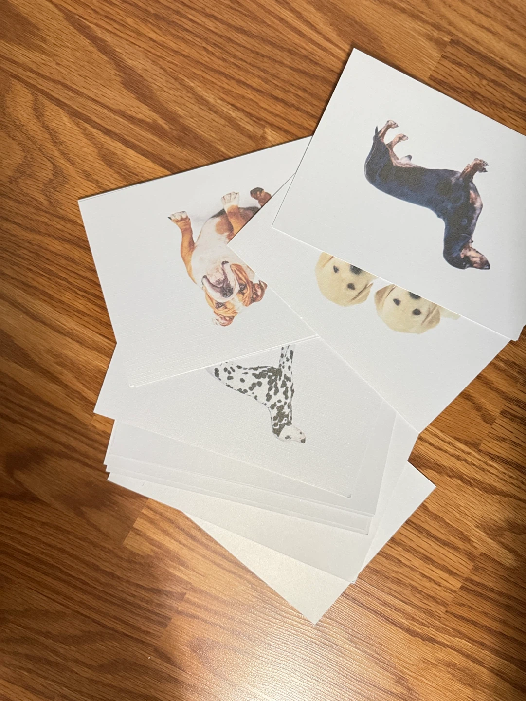 Right brain flash cards 15pcs - photo 3