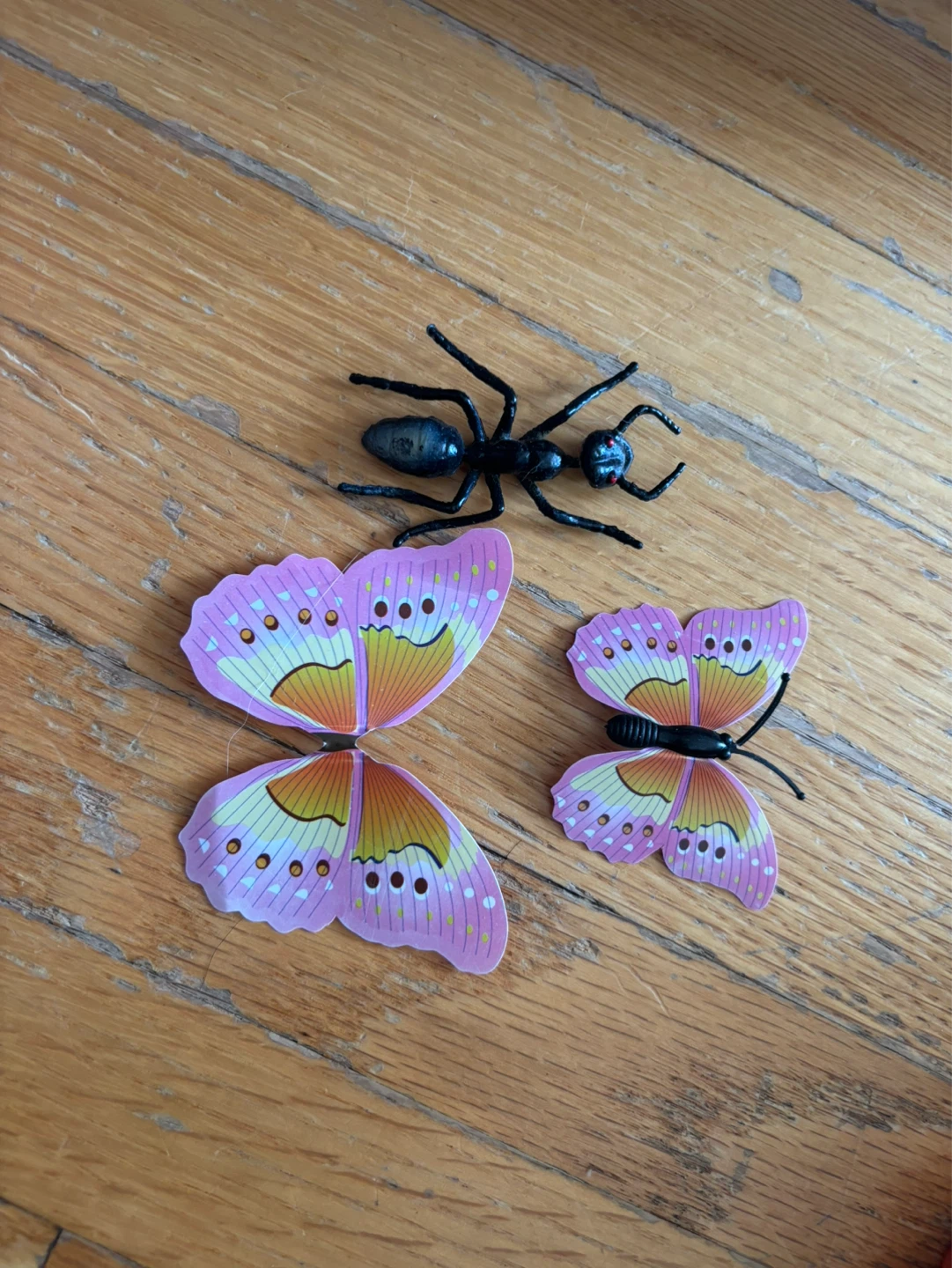 Plastic Butterfly and Ant ⚽️
