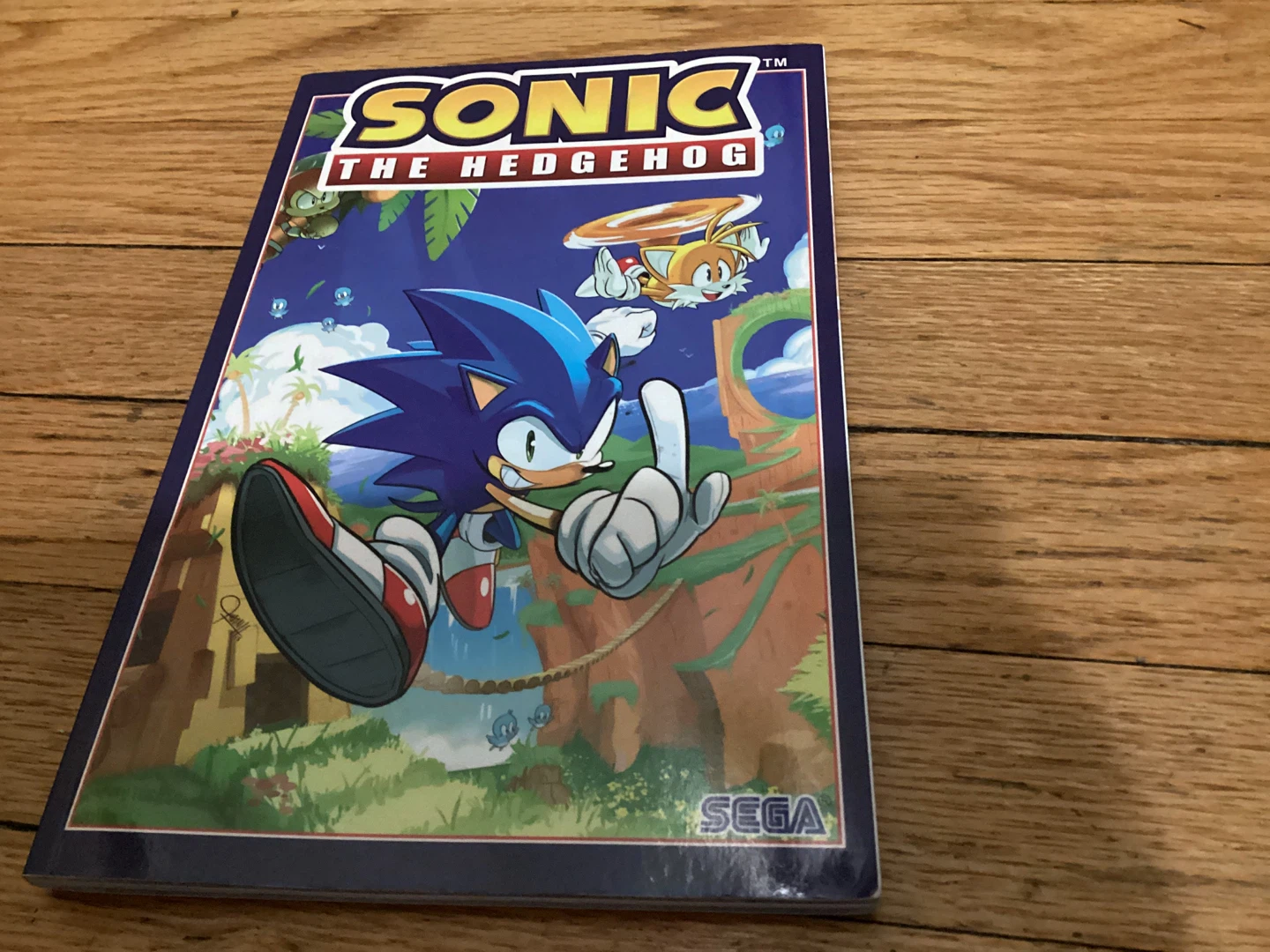 Sonic the Hedgehog Comic IDW Publishing⚽️
