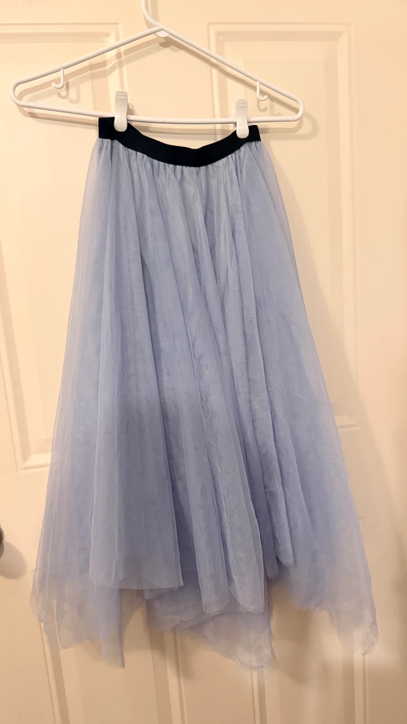 Light Blue Tulle Skirt.