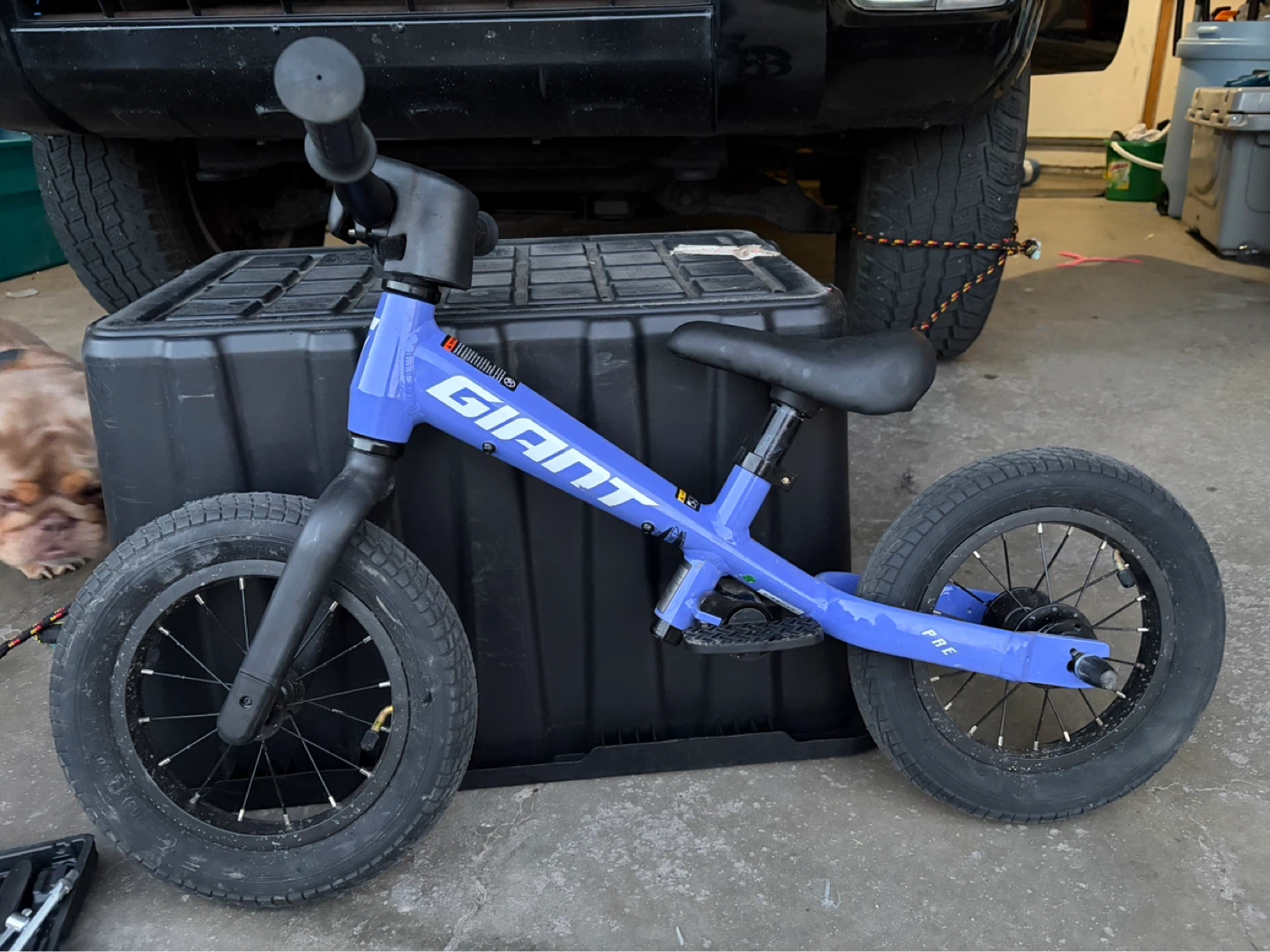 Giant Pre 12" Toddler Balance Bike – Near Mint!