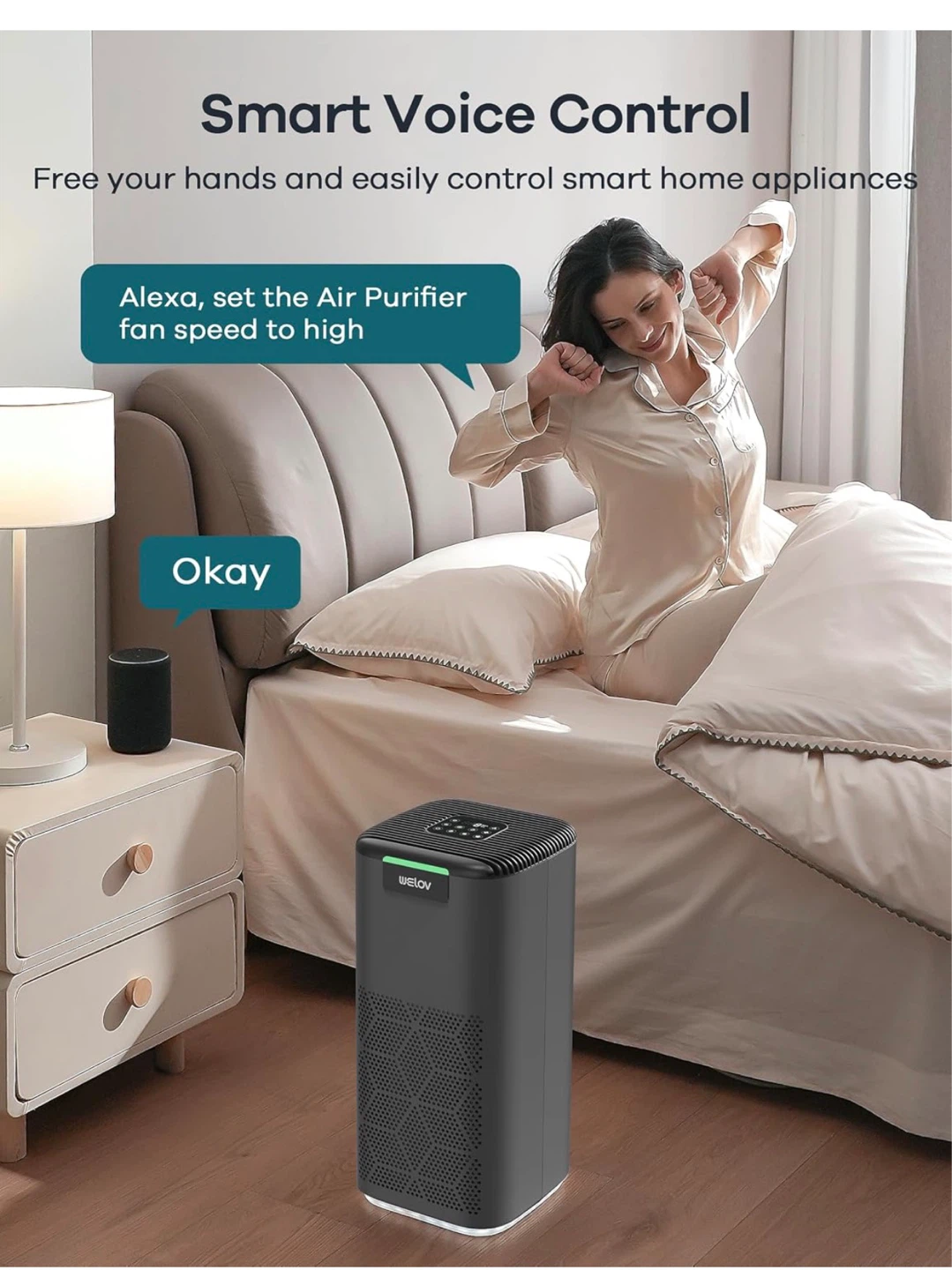 Welov Matter P200 Pro Air Purifier - photo 5