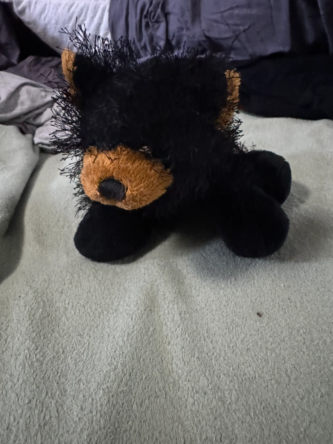 Vintage Webkinz Black Bear Plush Ganz Plush (8 inch)