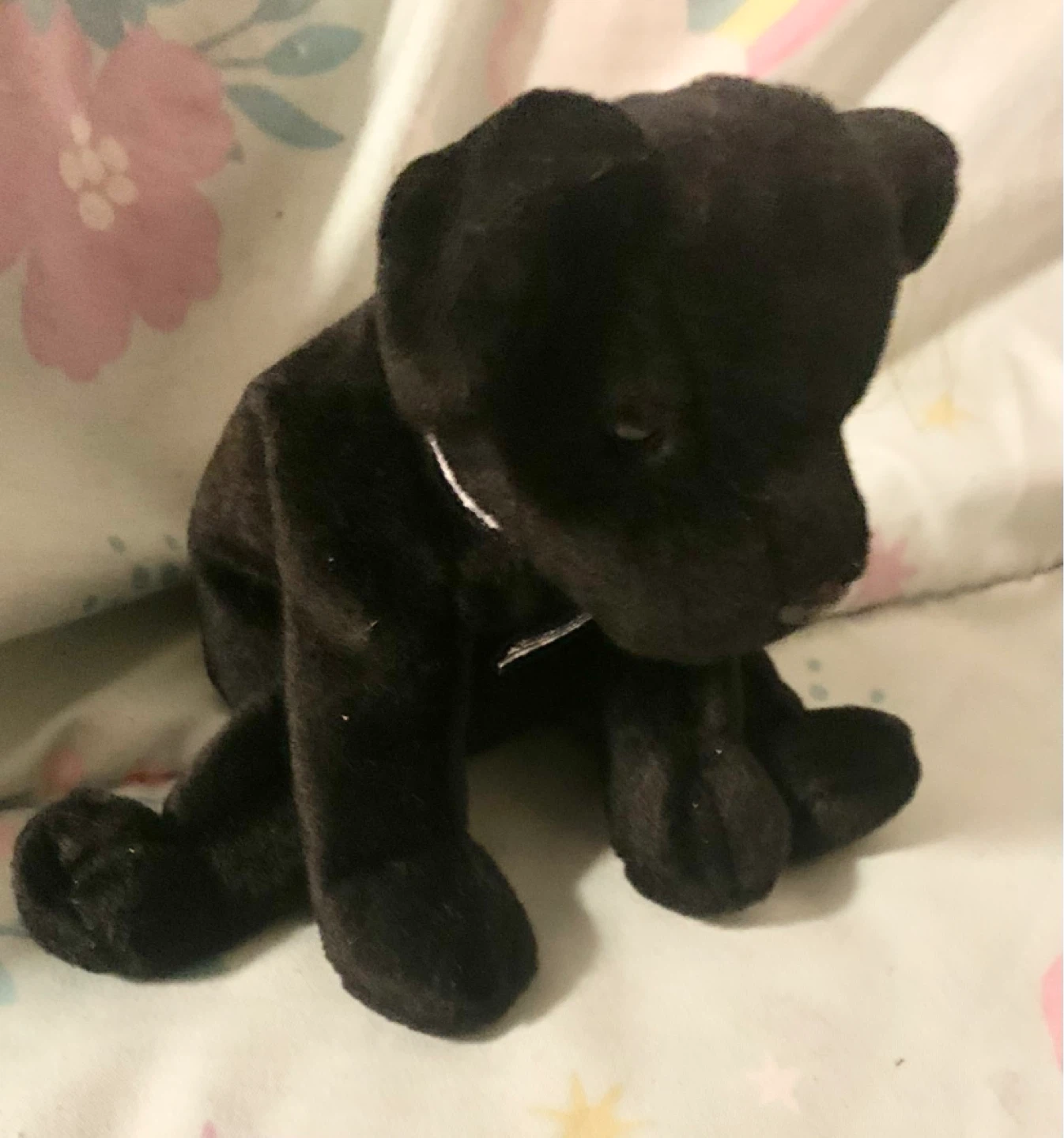 Black Beanie Baby Style Stuffed Animal