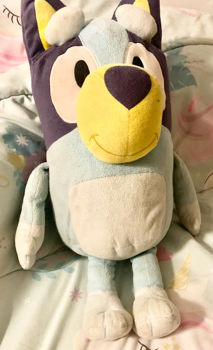 Bluey Plush Toy
