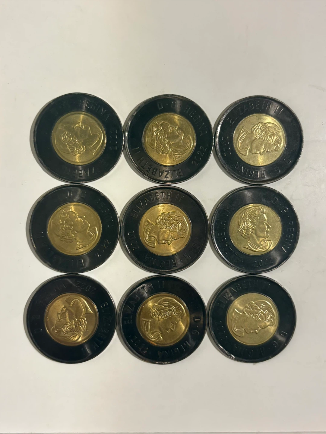 2022 Canadian Black Loonie coins
