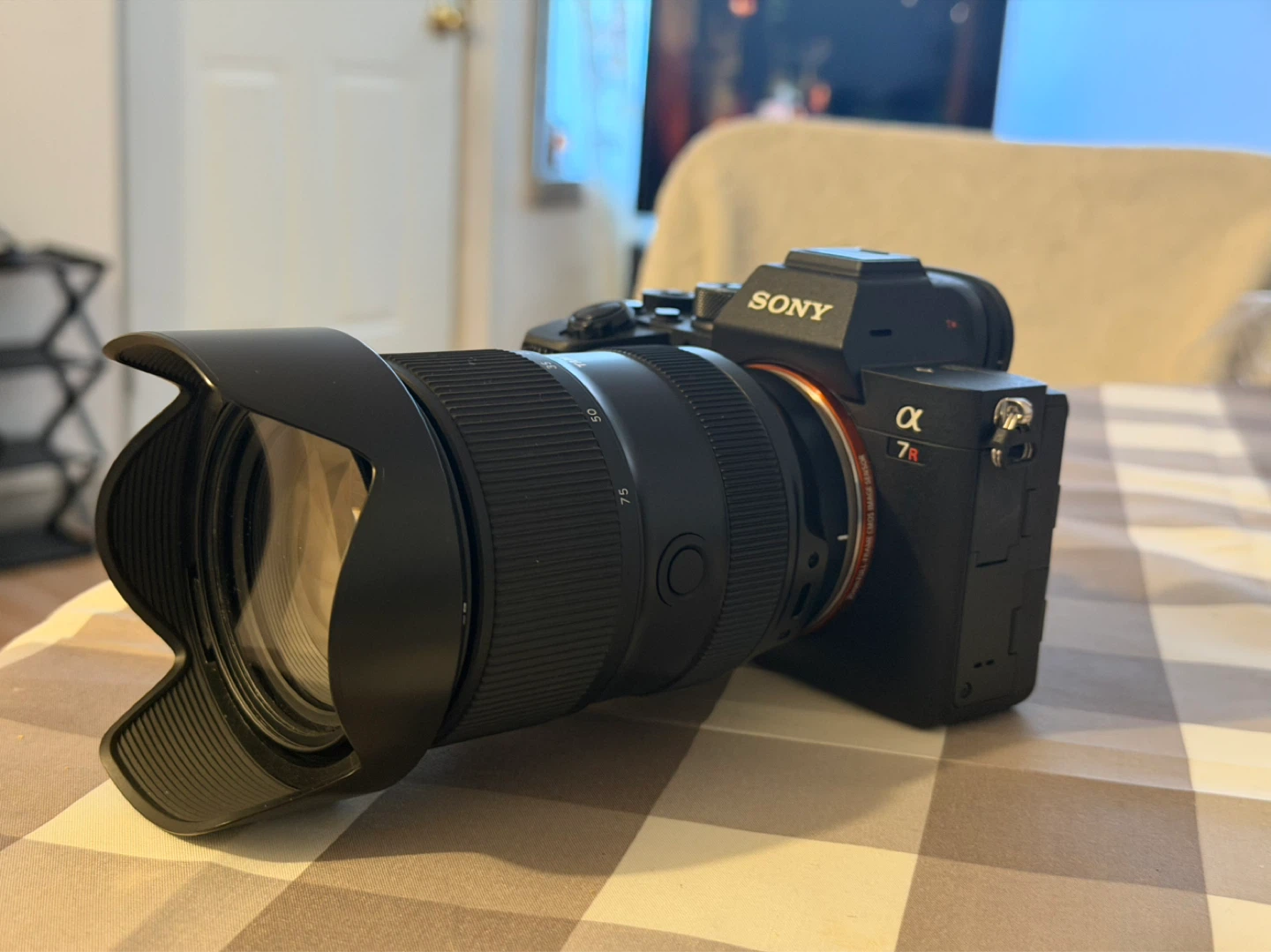 Sony Alpha a7R IV Body Only (600 shutter count) - photo 3