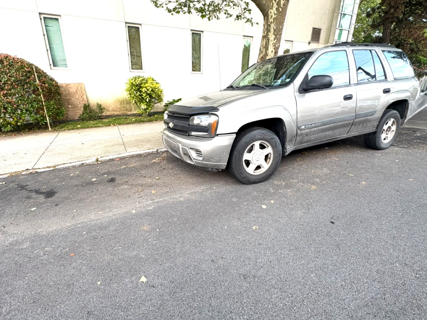 2004 Chevrolet Traiblazer - photo 3