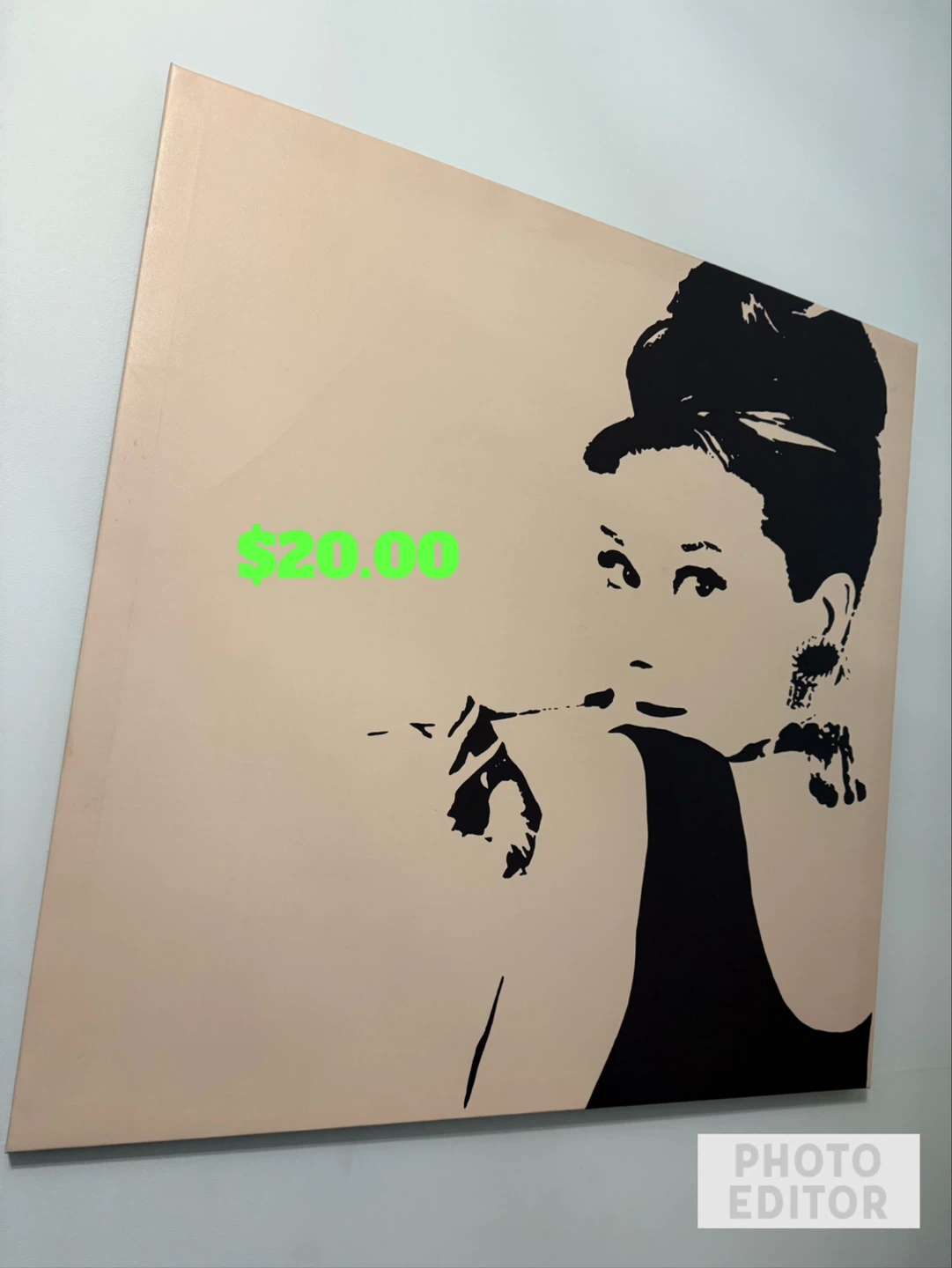 Audrey Hepburn Stencil Art Canvas