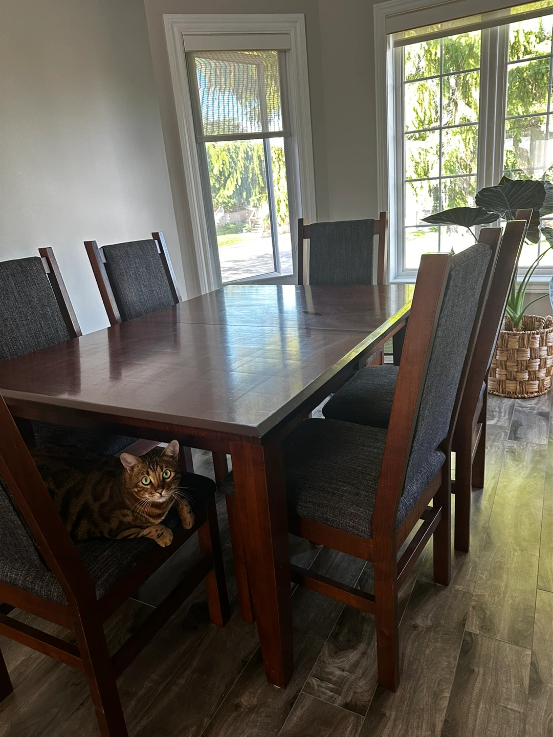 Wooden Dining Table with 6 Chairs