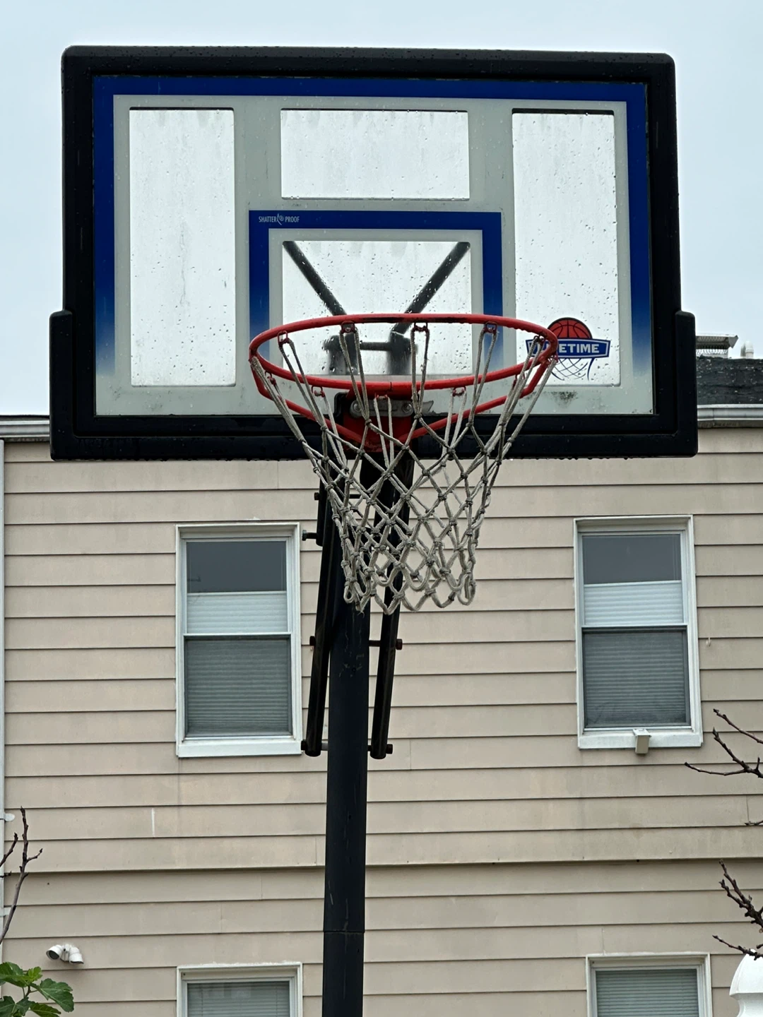 Lifetime Basketball Hoop