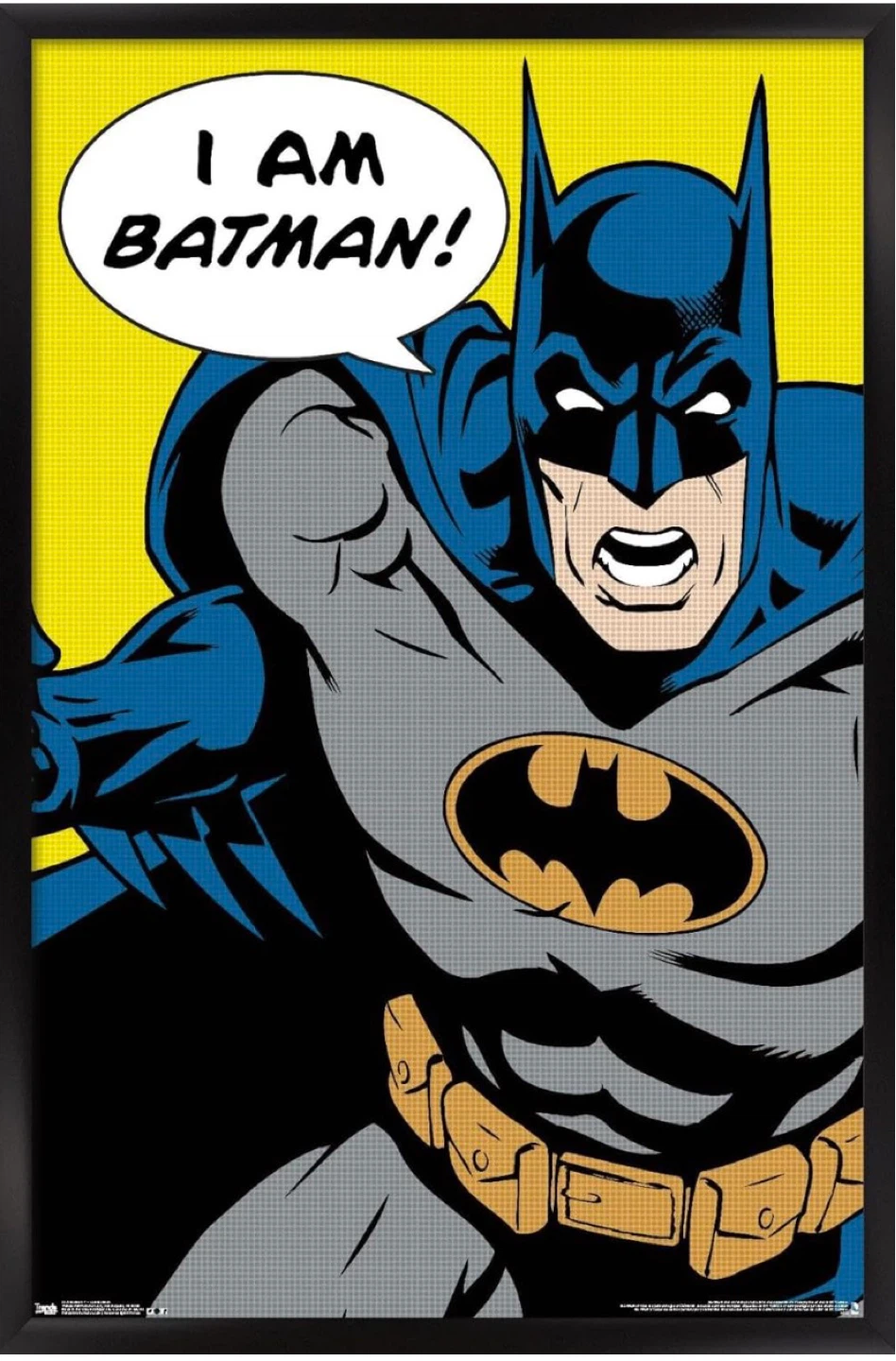 Framed Batman Poster