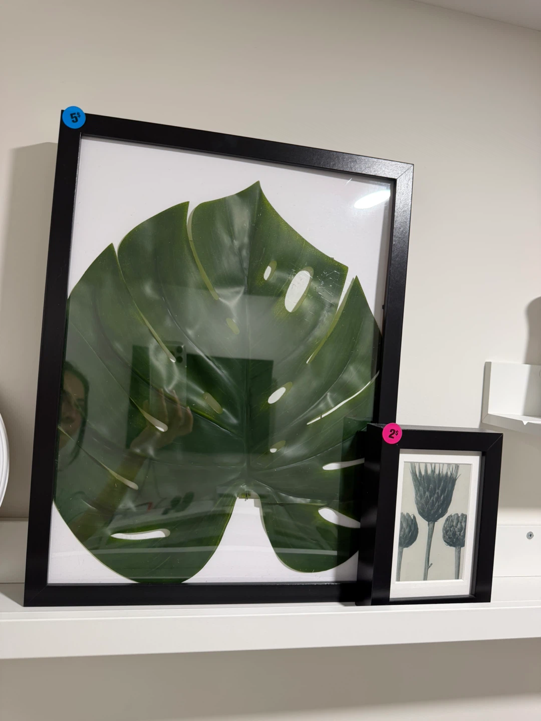 Framed Wall Art Prints