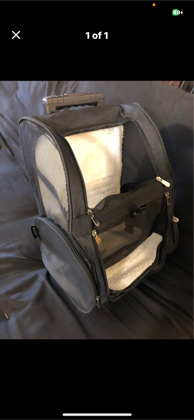 Travel Pet Carrier