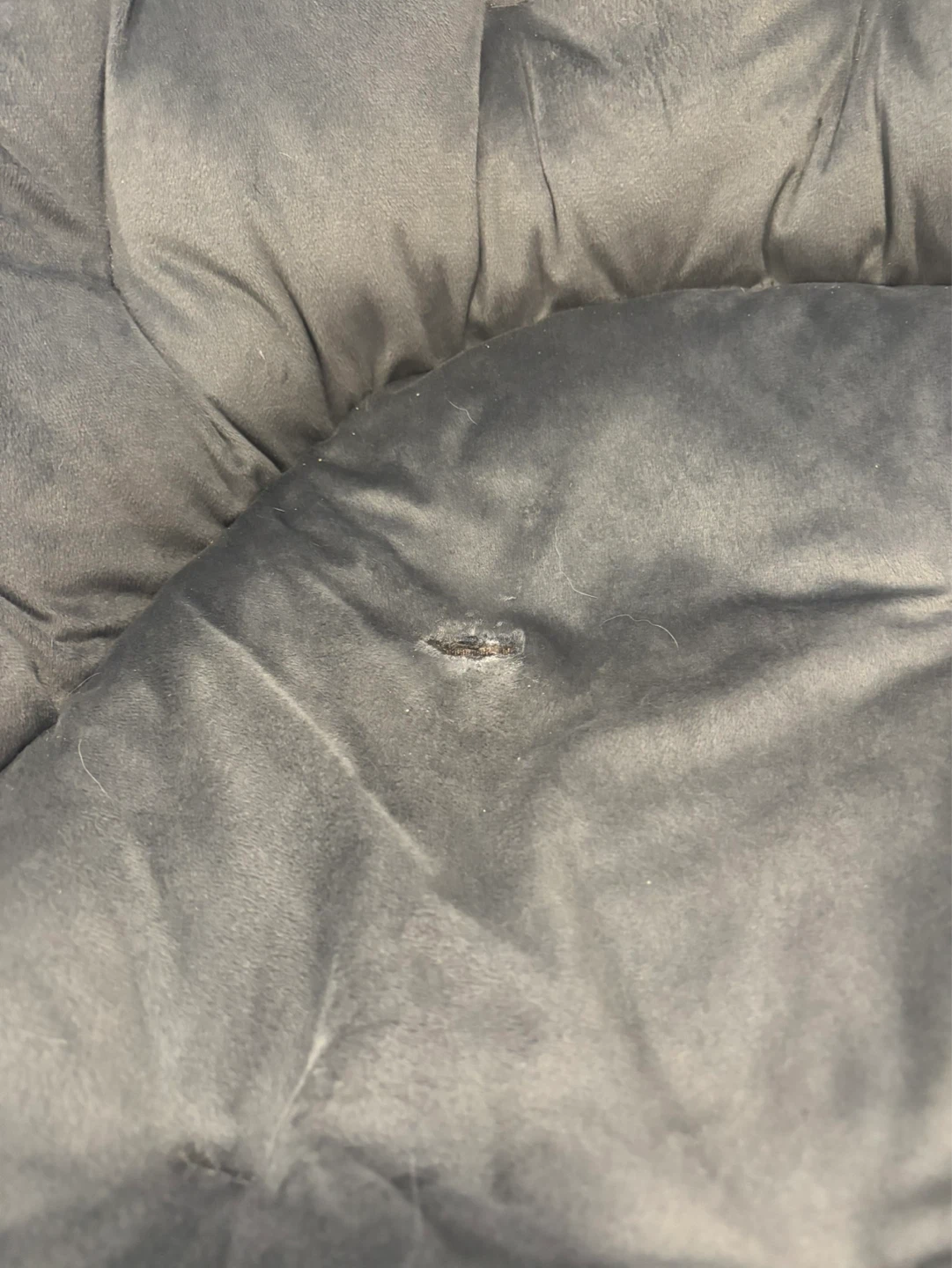 Grey Saucer Chair - photo 3