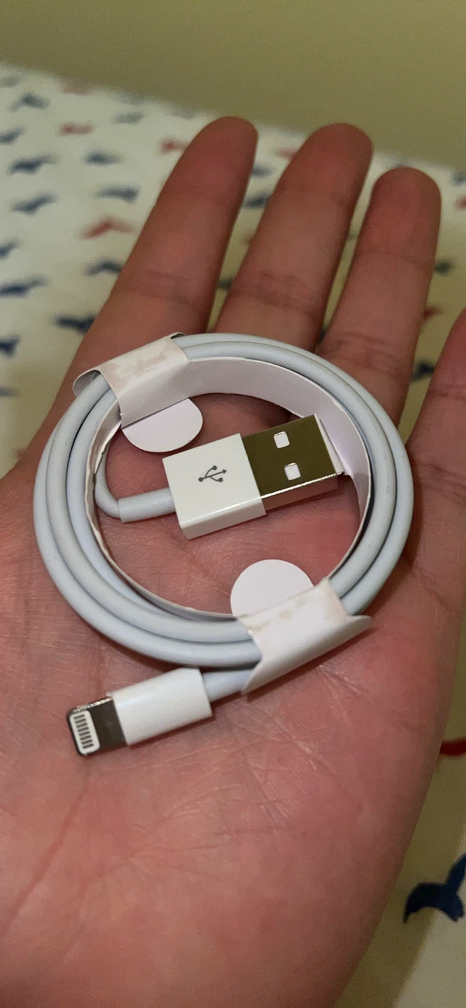 Apple Lightning to USB Cable