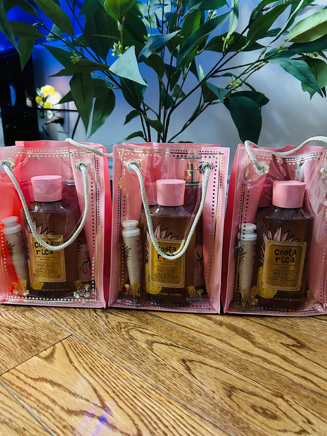 Bath & Body Works Costa Rica Pink Pineapple Sunrise  Set
