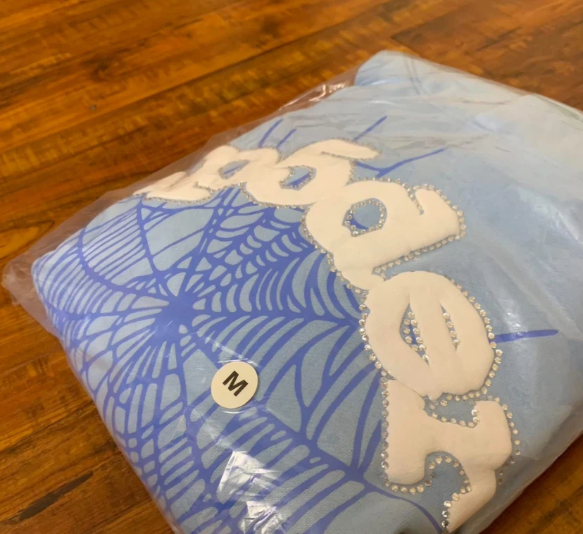 Sp5der Web Hoodie Sky  Blue - photo 4