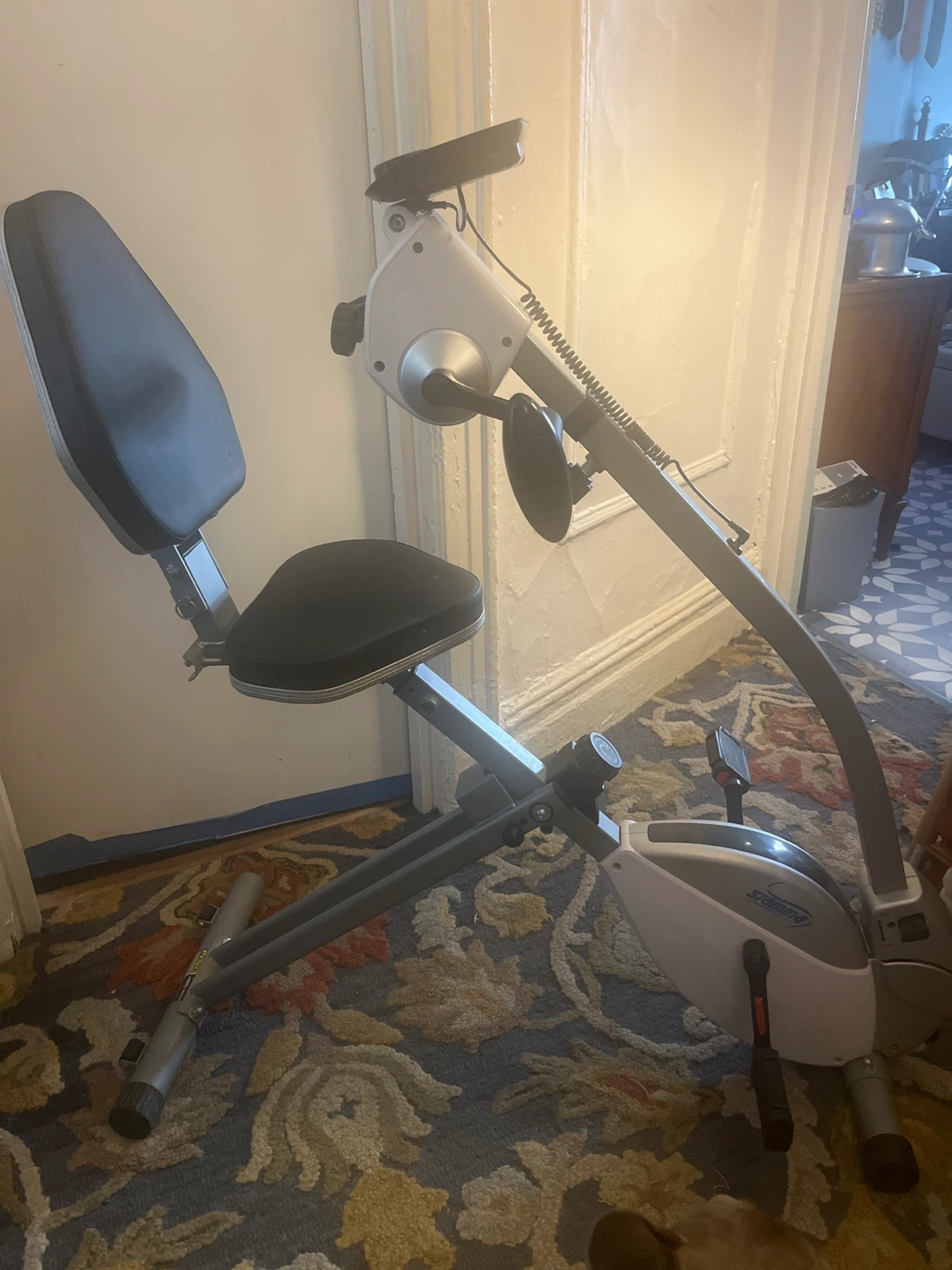 Stamina Recumbent Exercise Bike