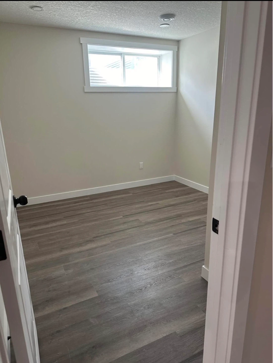 Basement Suite - photo 3