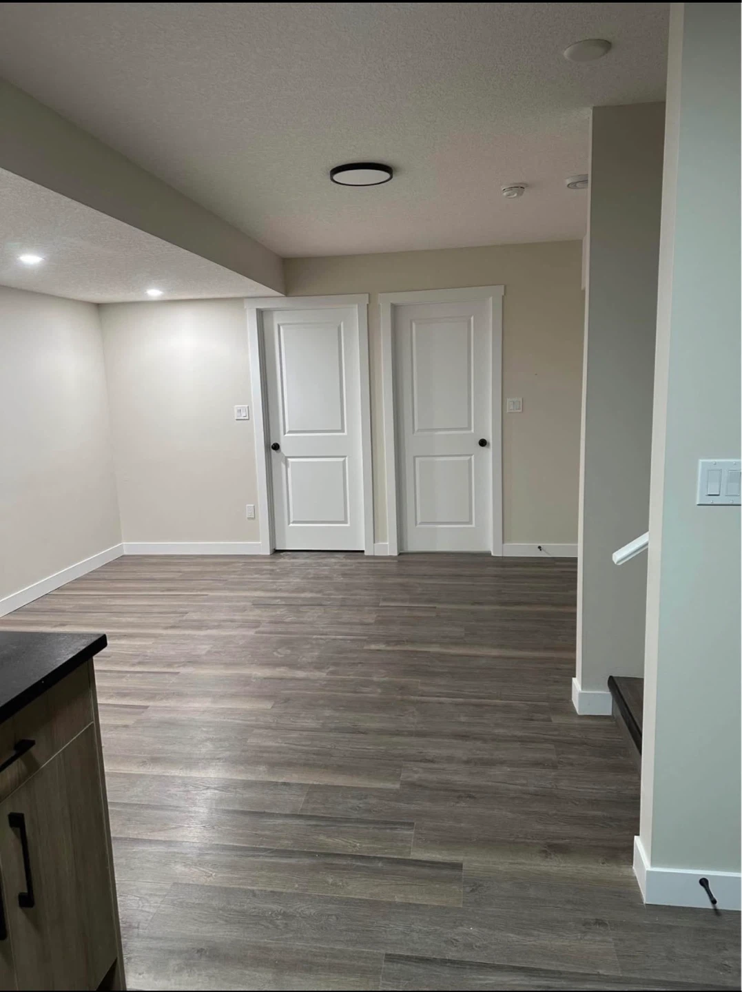 Basement Suite