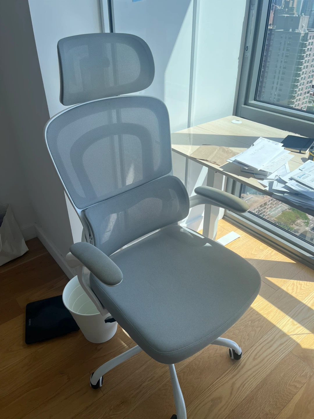 Ergonomic Mesh Office Chair with Headrest