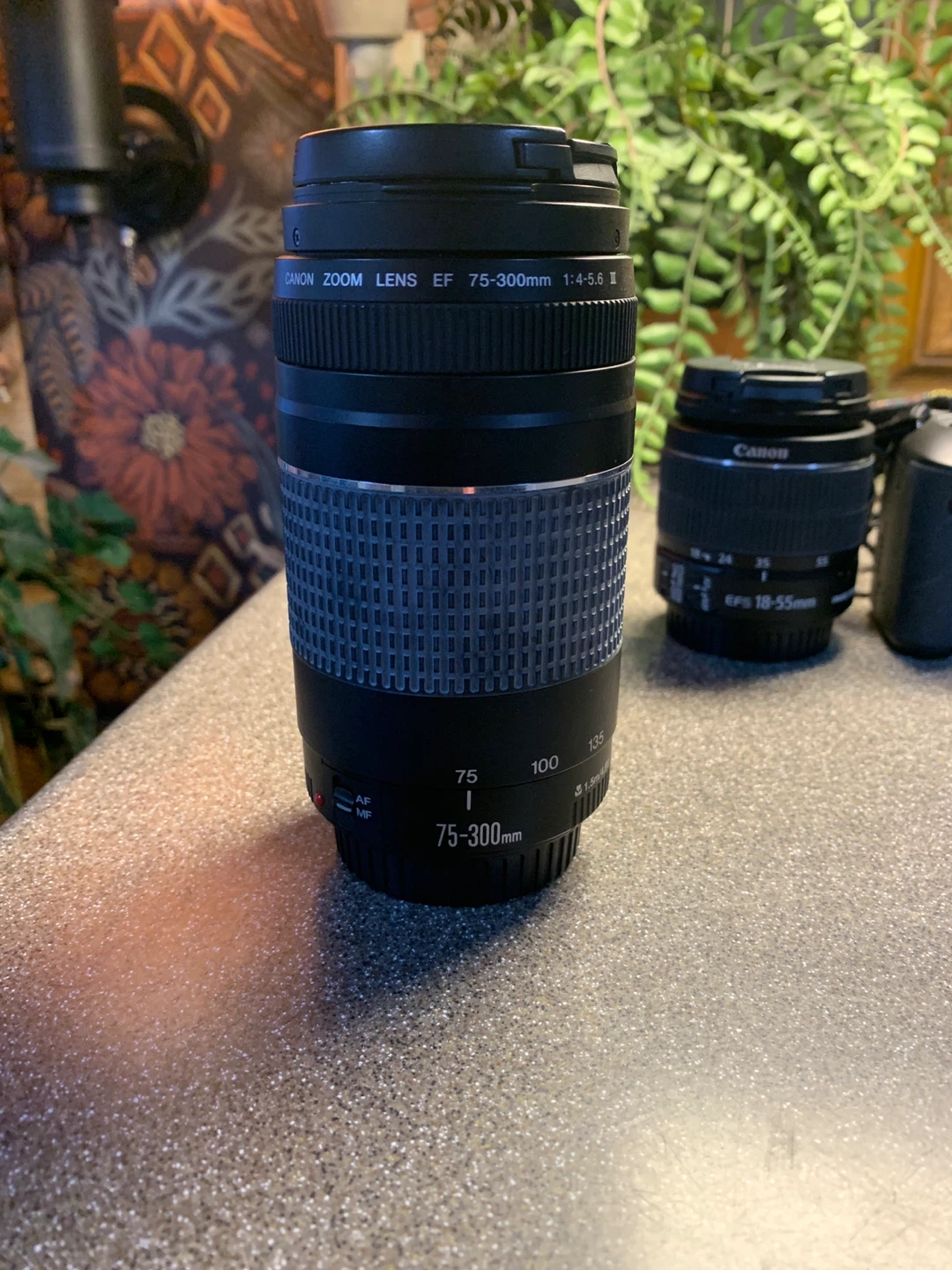 Canon EOS Rebel T3i DSLR Camera with Two Lenses and Bag - photo 4