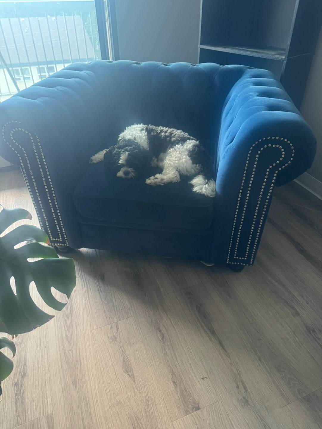 Blue Velvet Accent Chair