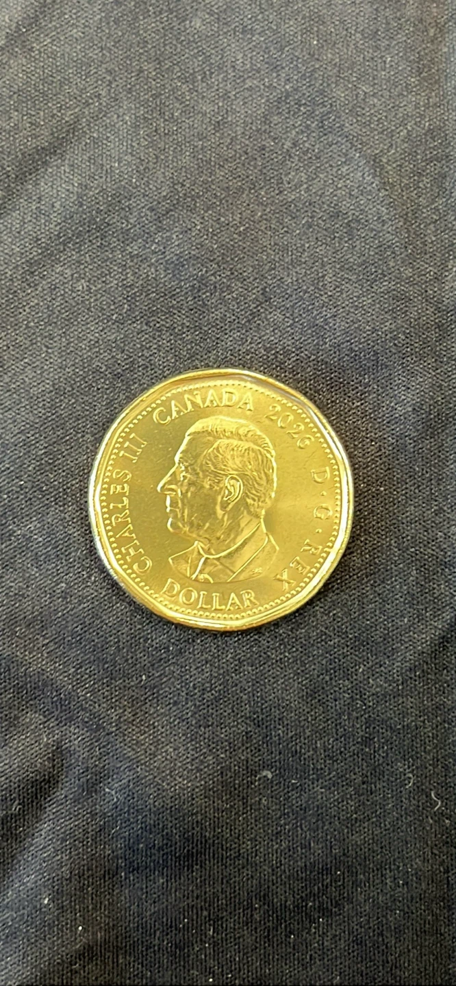 FIFA LOONIE RARE - photo 2