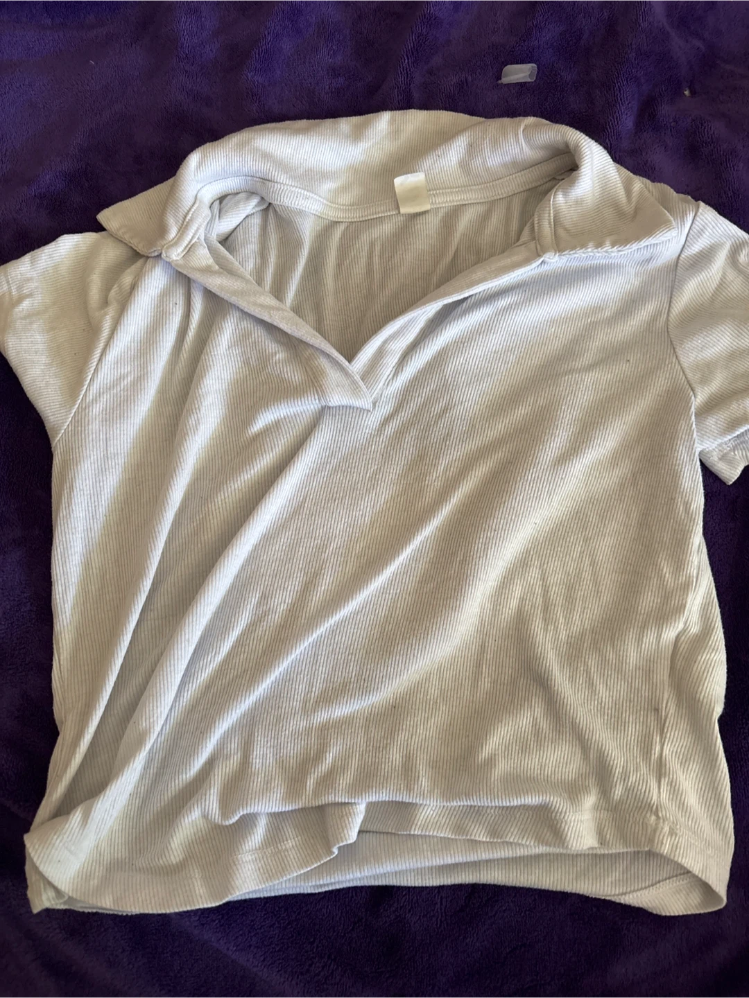 White Ribbed Collared Crop Top