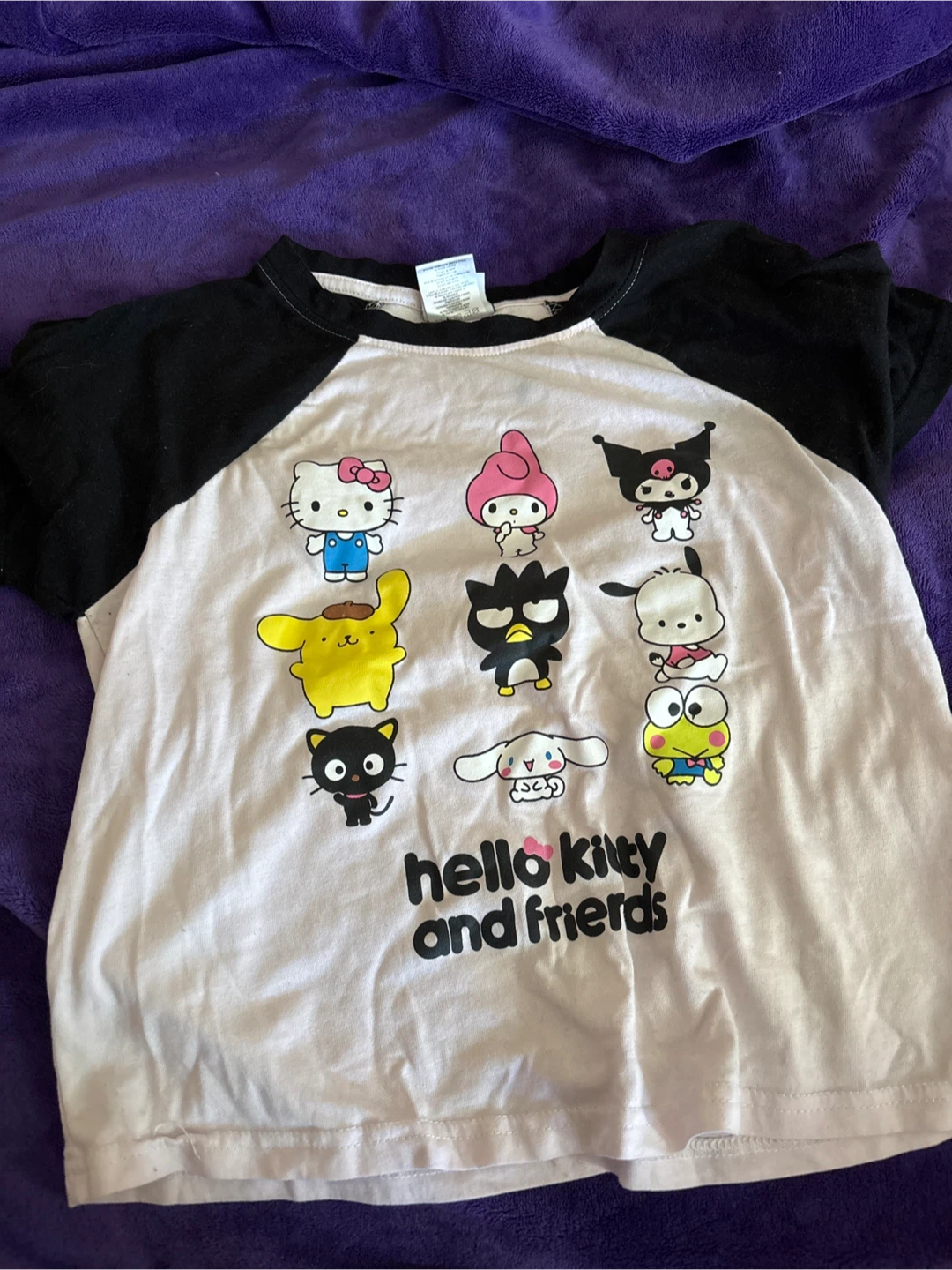 Hello Kitty and Friends crop top