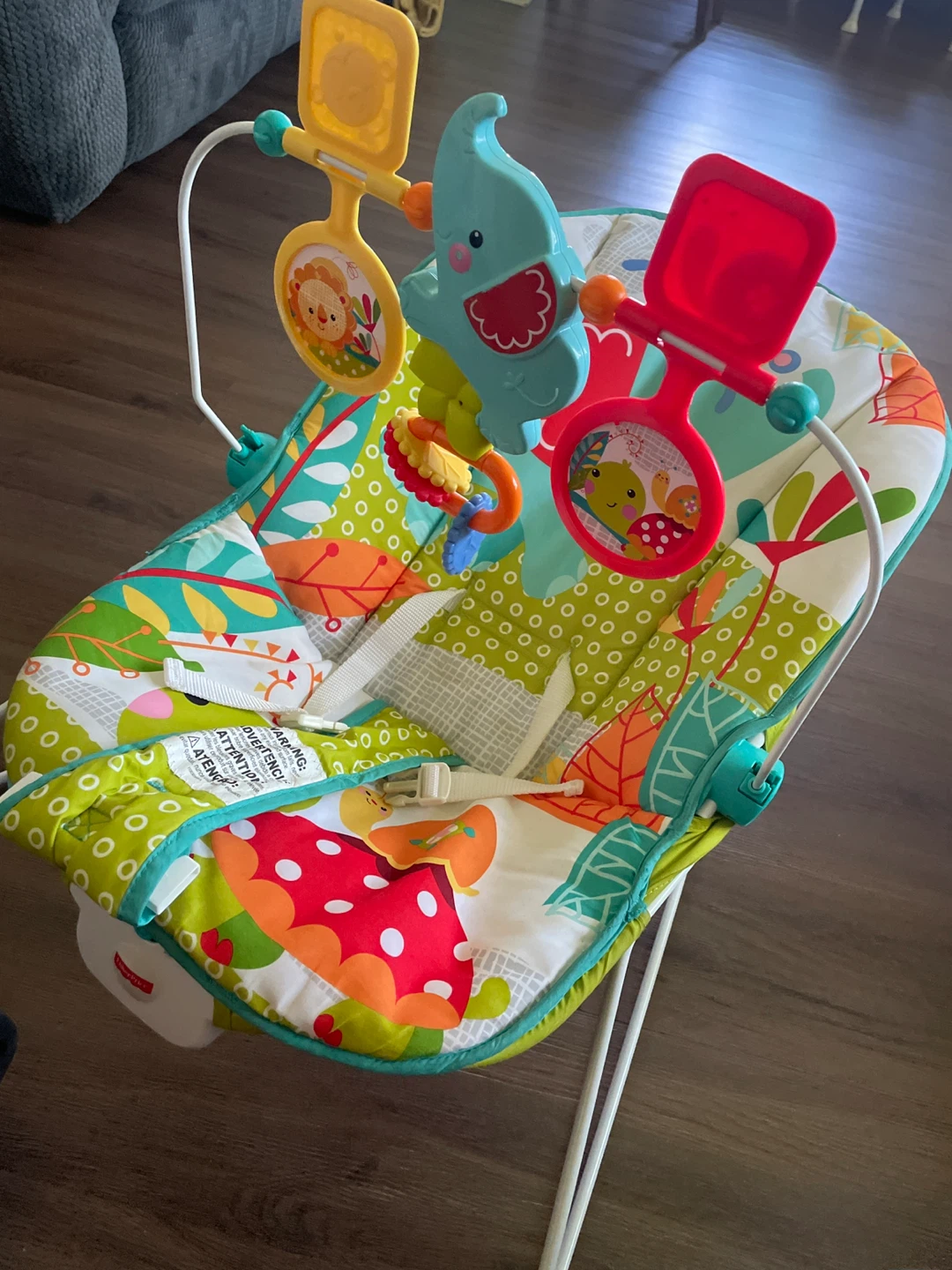 Fisher-Price Infant-to-Toddler Rocker - photo 2
