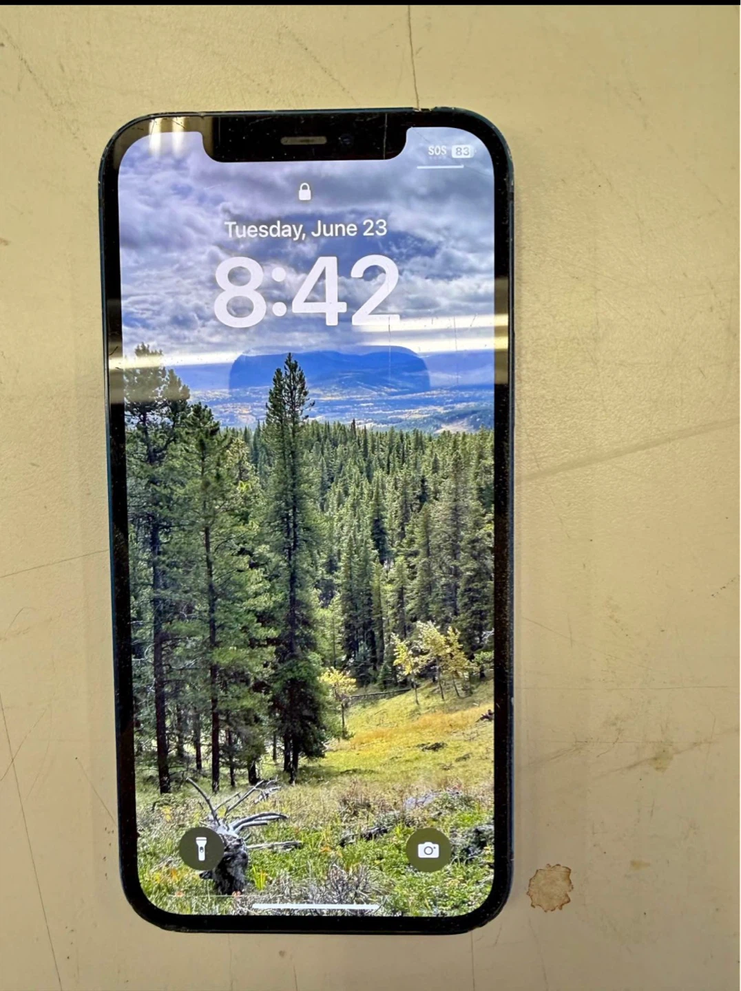 iPhone 12 128 gb