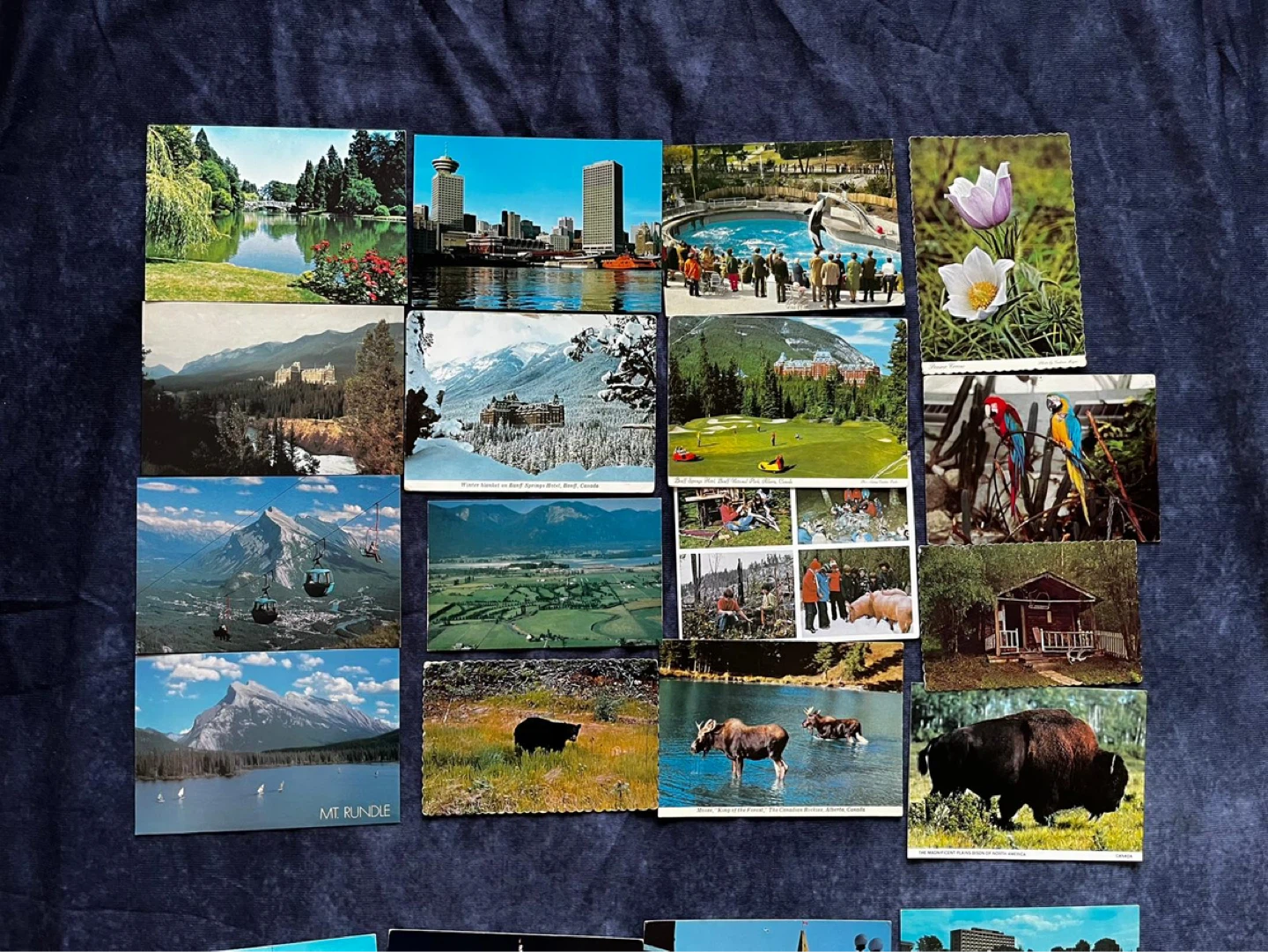 Vintage Canadian Postcard Collection - Rockies & Wildlife